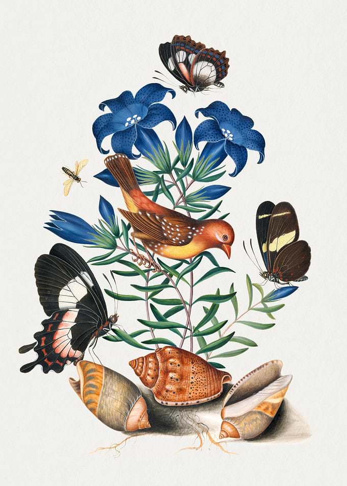 Watercolor Birds