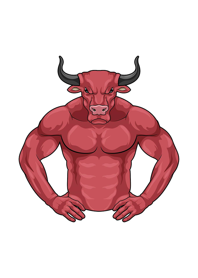 Bull Bodybuilder Muscles