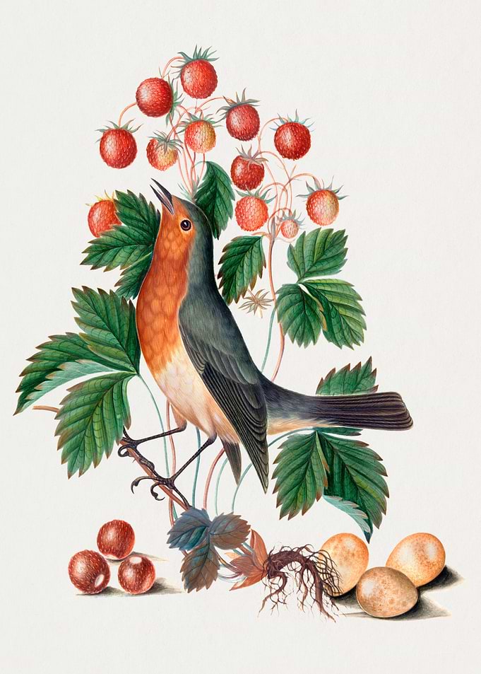 Watercolor Birds