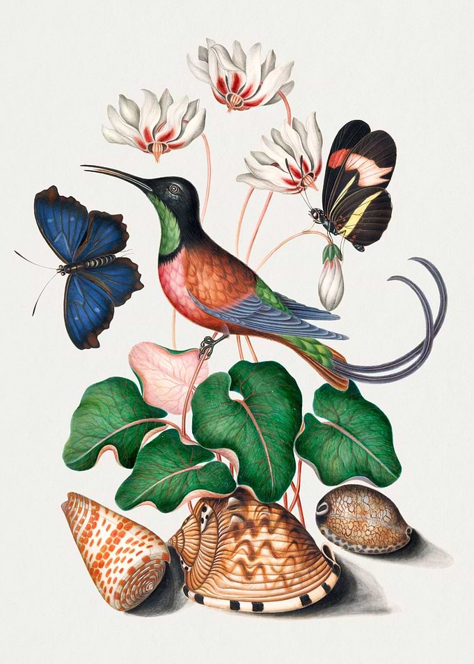 Watercolor Birds