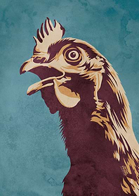 Chicken screaming
