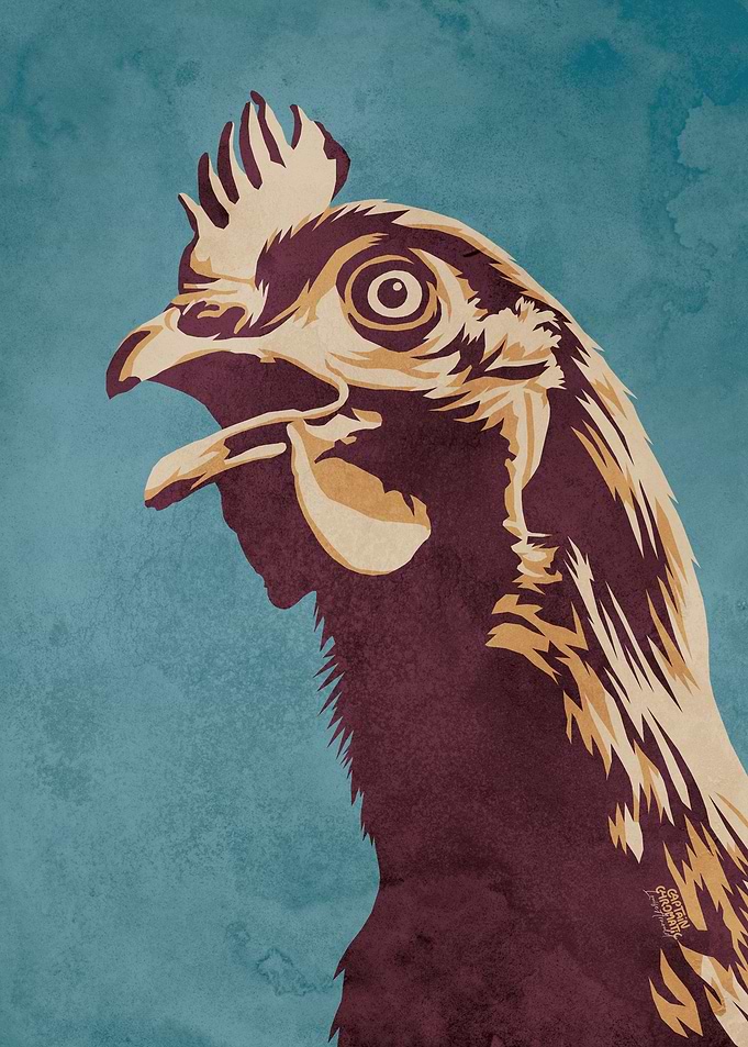 Chicken screaming