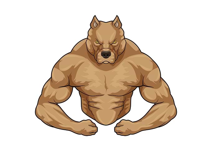 Pitbull Bodybuilder