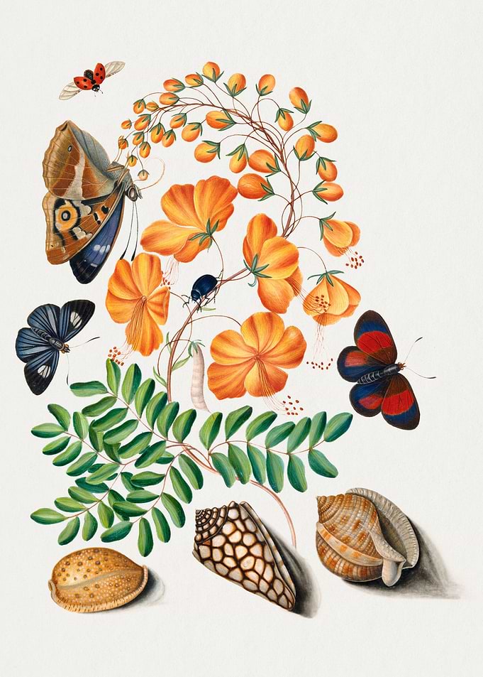 Watercolor Birds