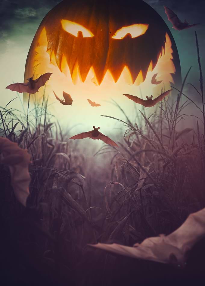 Halloween II