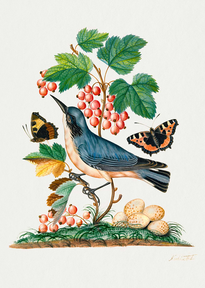 Watercolor Birds