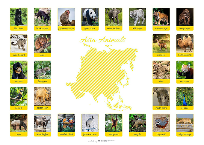 ASIA ANIMALS
