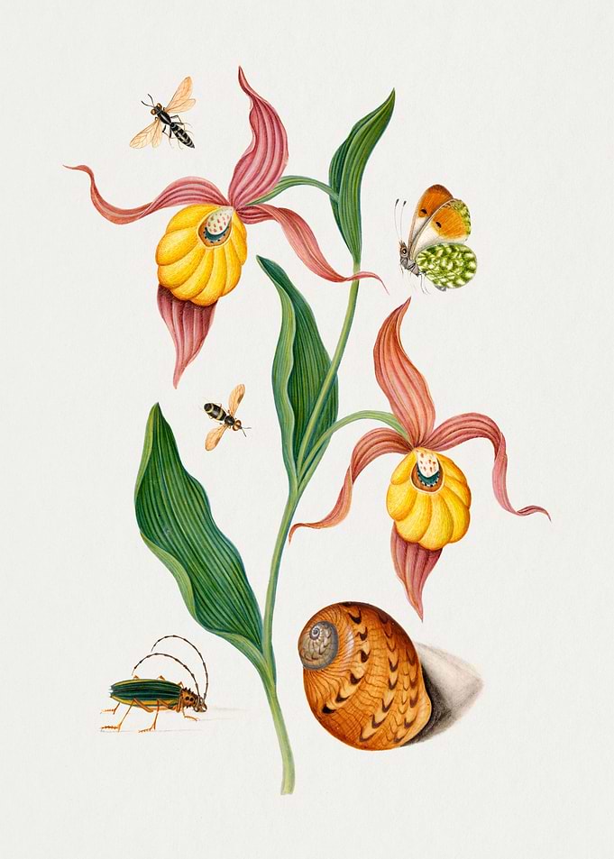 Watercolor Birds