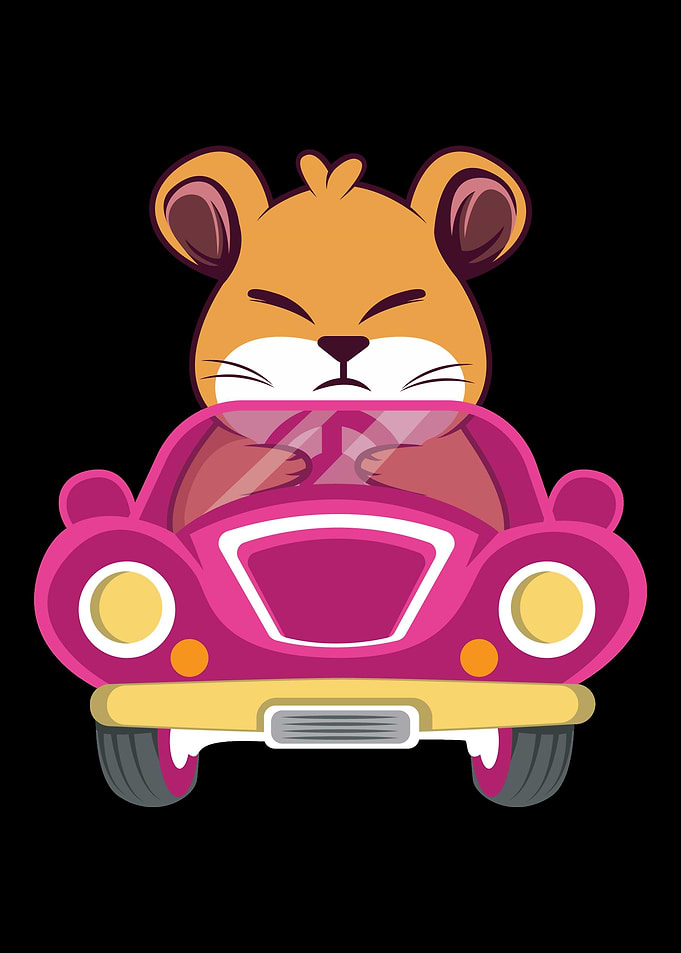 Hamster Car Hamster Owner