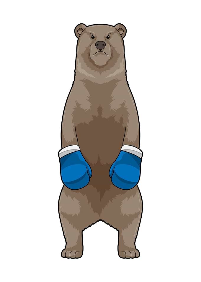 Bear Boxing Boxing gloves