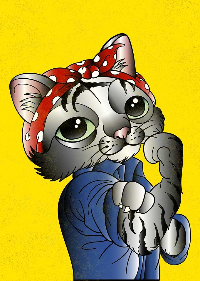 we can do it cat
