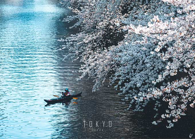 Meguro River Tokyo