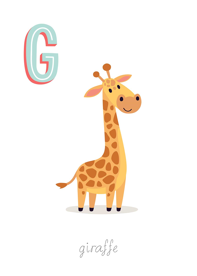 Animal Alphabet G Giraffe