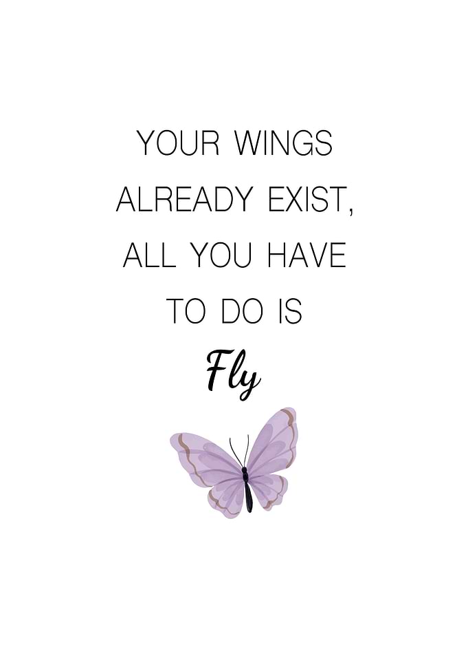 Fly