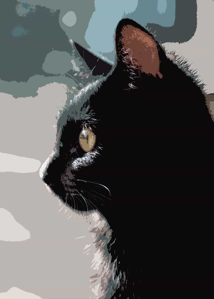 Black Cat Painting
