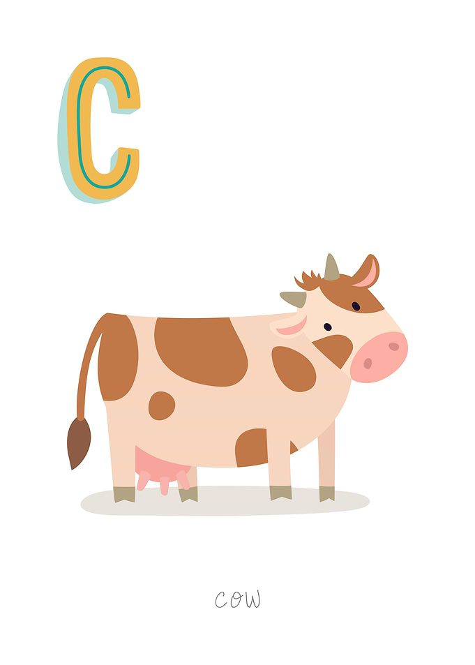 Animal Alphabet C Cow