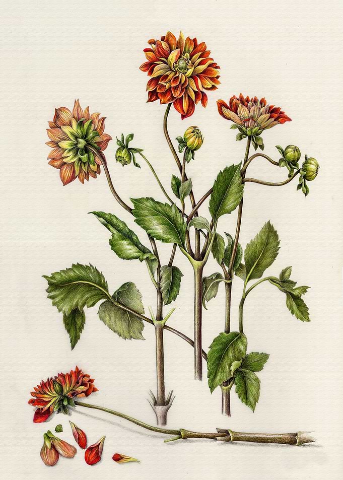 Vintage Flower