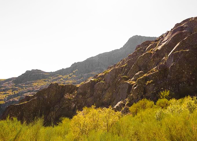 Mountain Layer