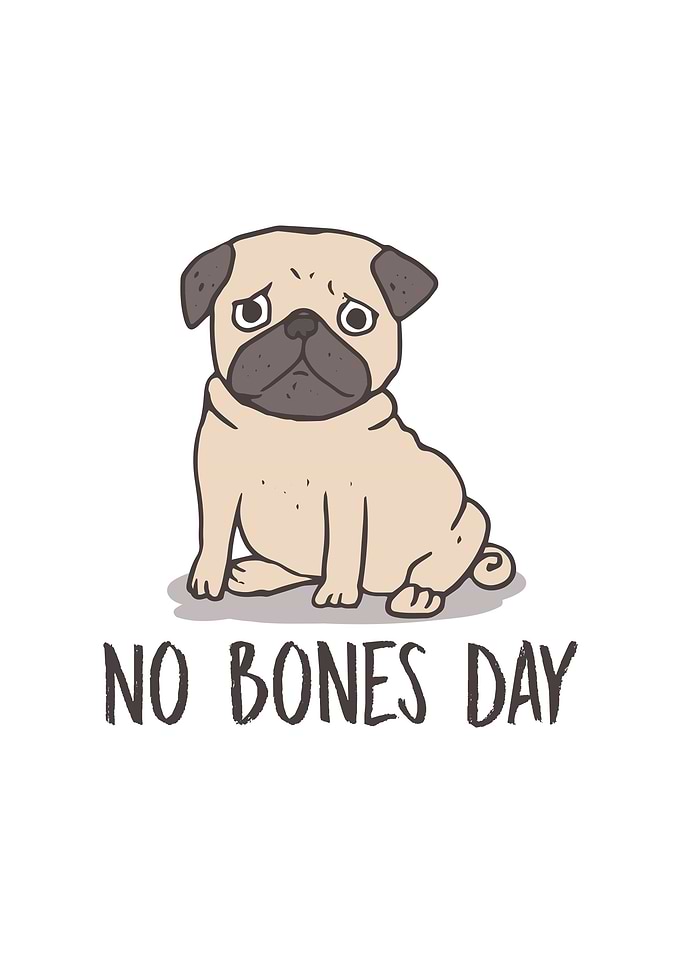 No Bones Day Pug Dog Mom