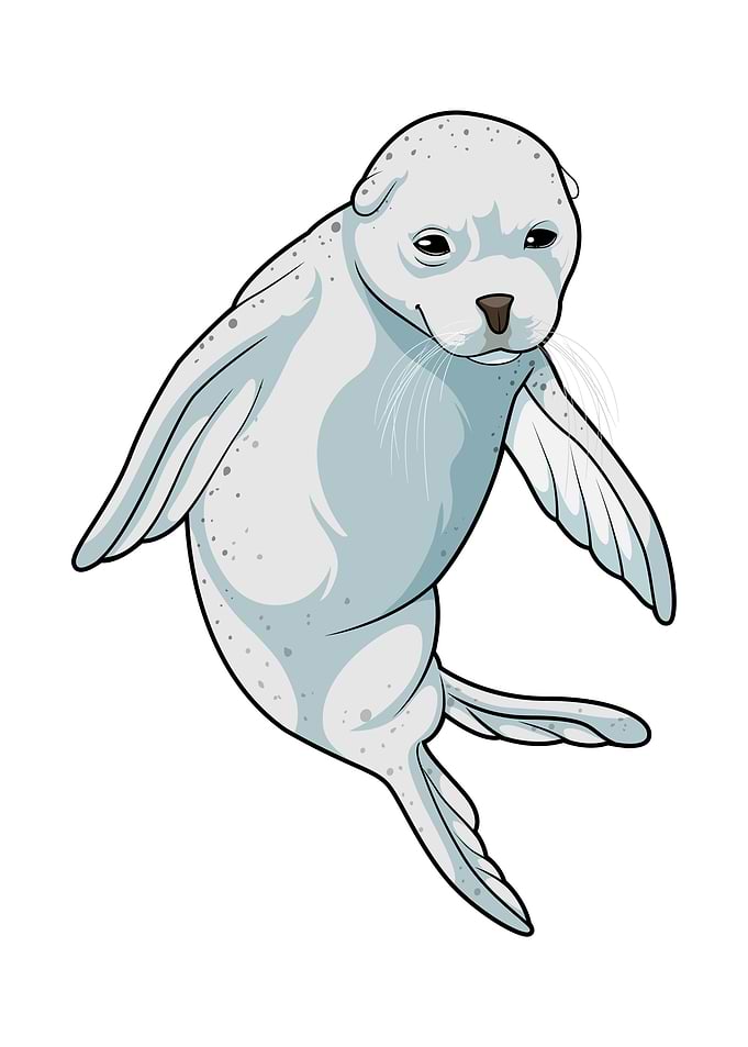 Swimming Seal