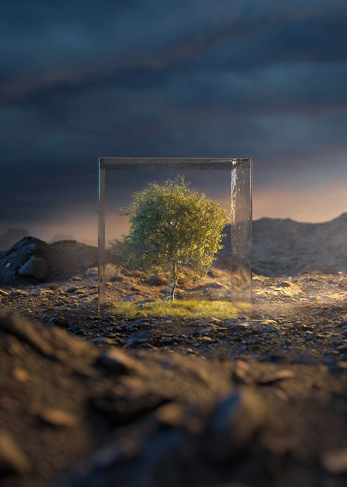 The Last Tree