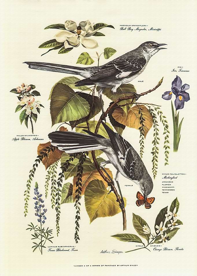 Vintage Flower Nature