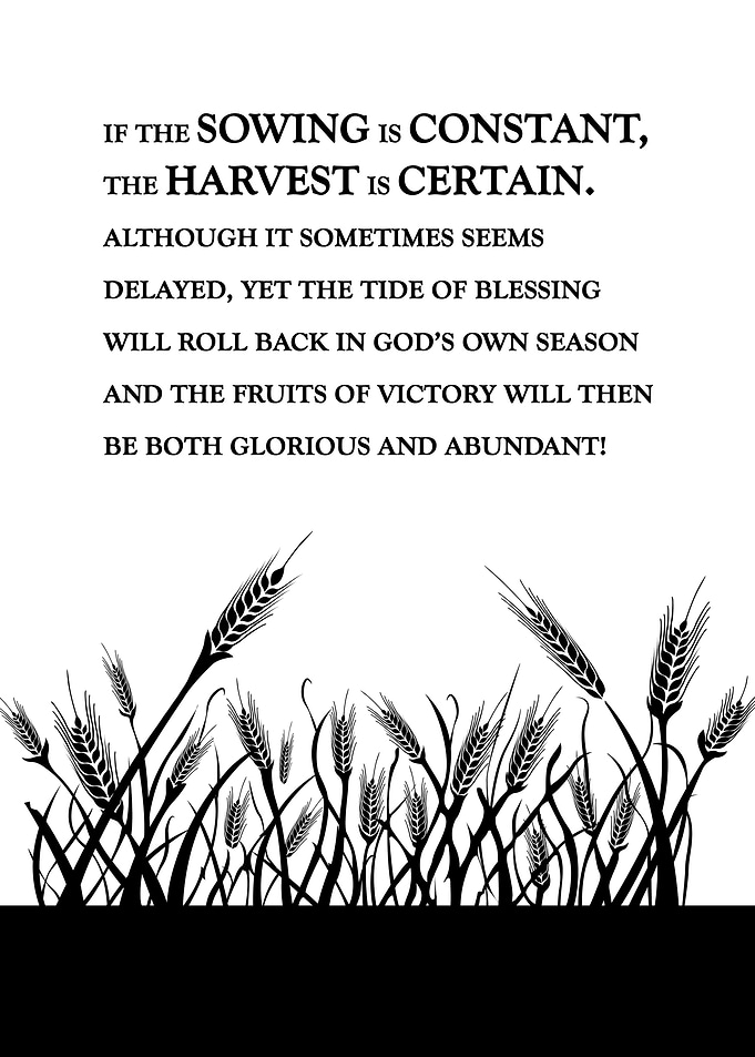 Constant Sowing