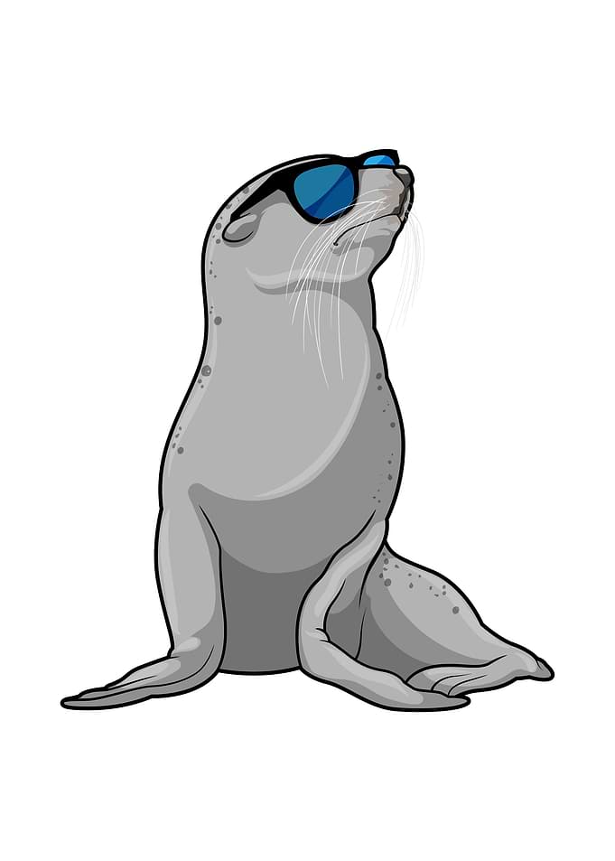 Seal Sunglasses