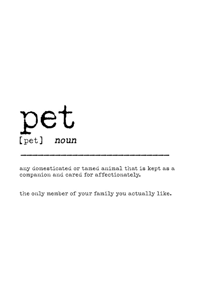 Pet Definition