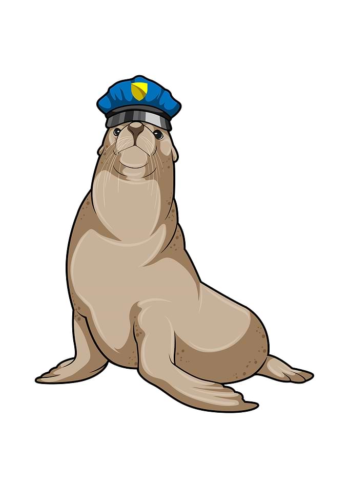Seal Police Police hat