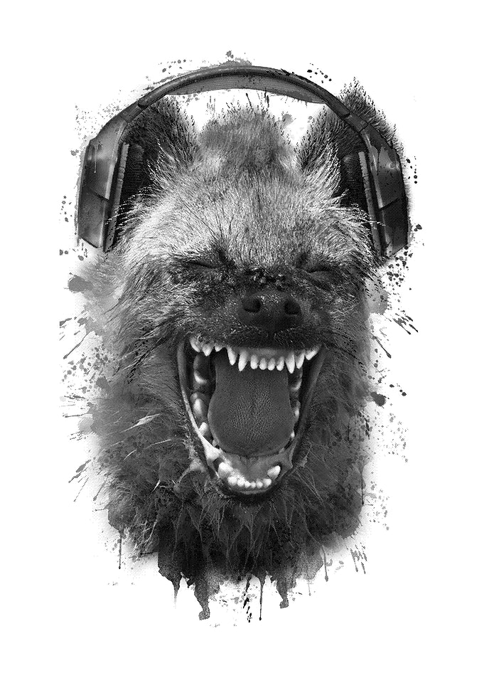 Hyena rock ON