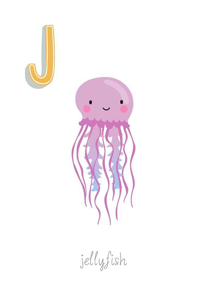 Animal Alphabet Jellyfish