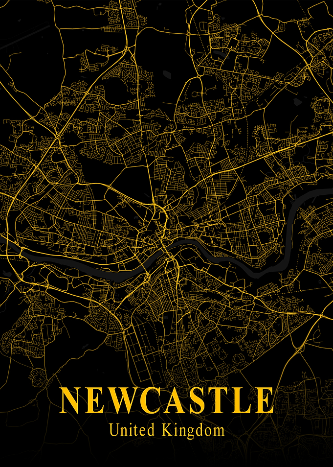 Newcastle City Map England