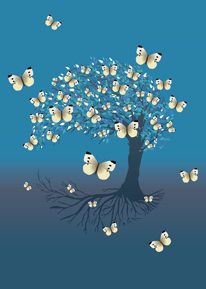 Yggdrasil butterflies