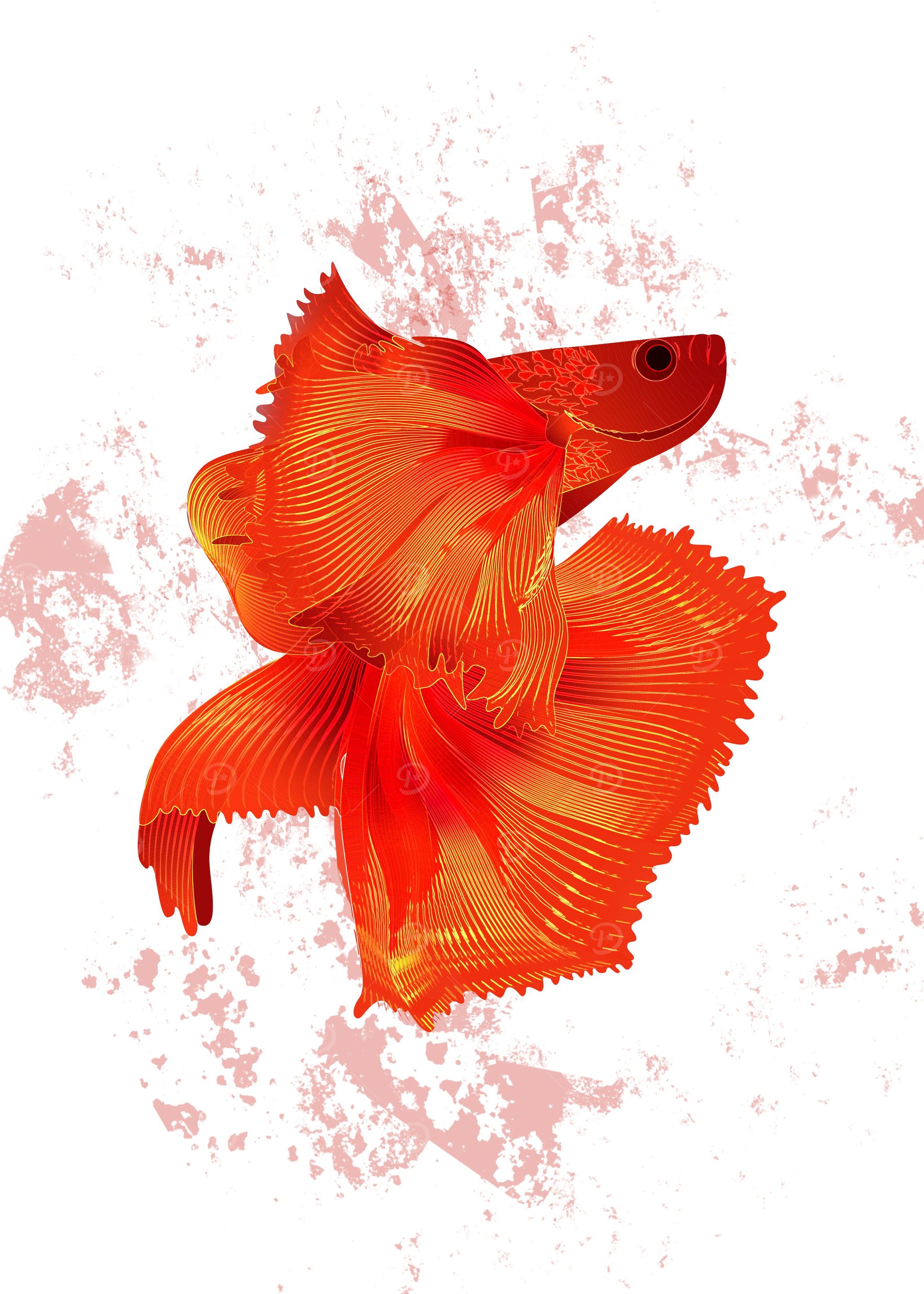 Red and Gold Siamese