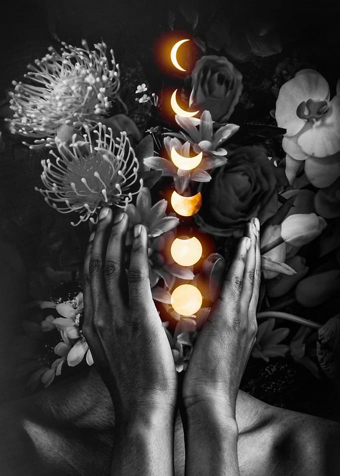 Blooming Phases