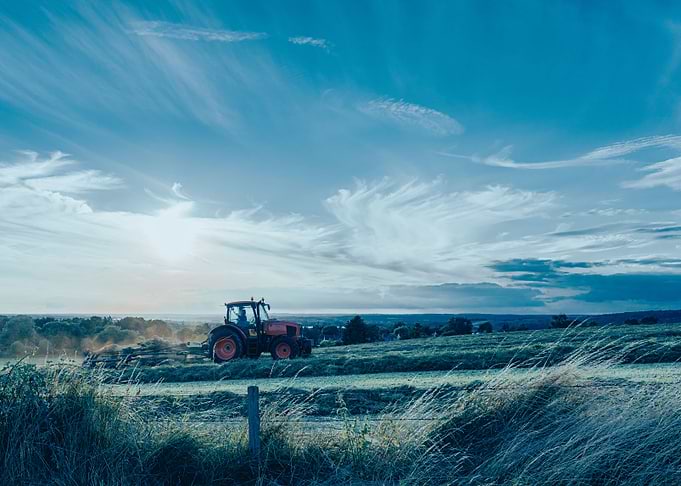 Cloud of grass cuttings