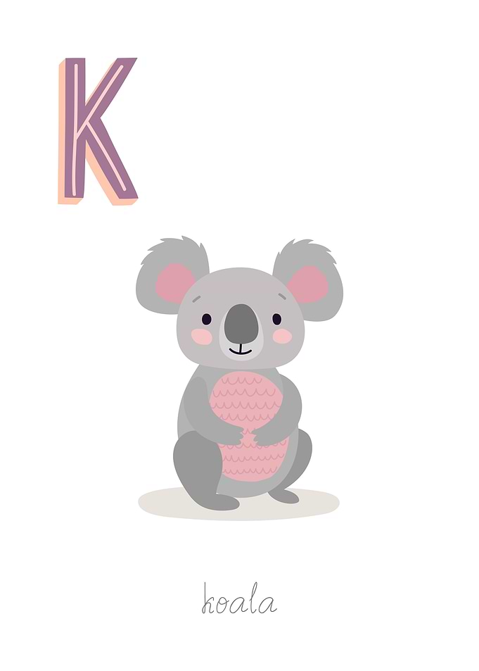 Animal Alphabet K Koala