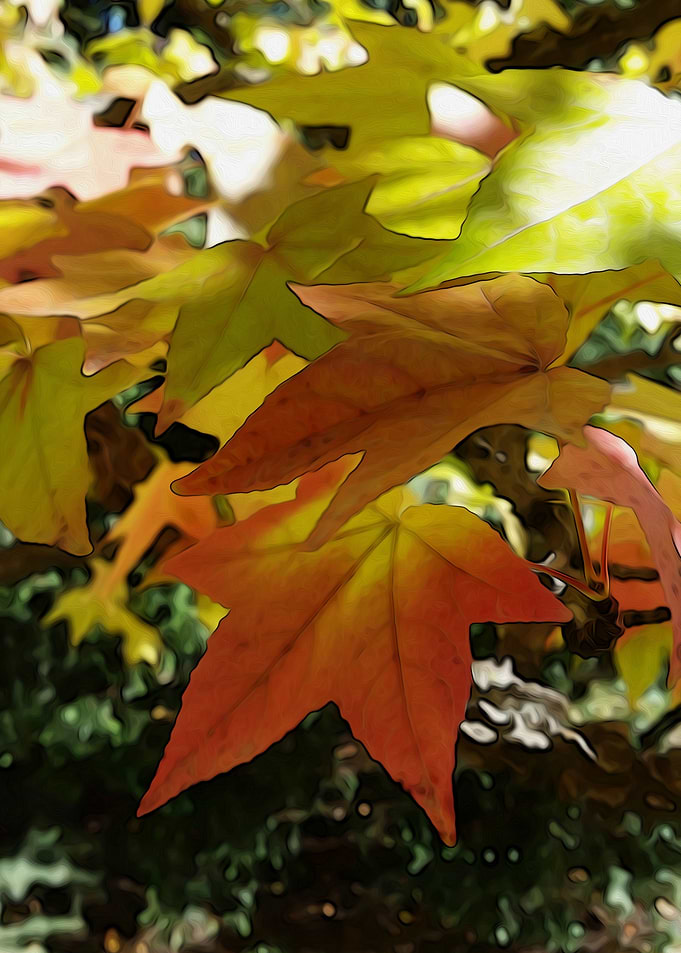 Autumn shades