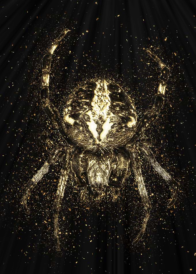 Spider