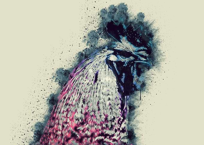 Rooster