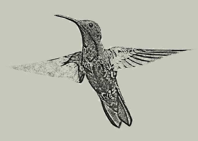 Hummingbird