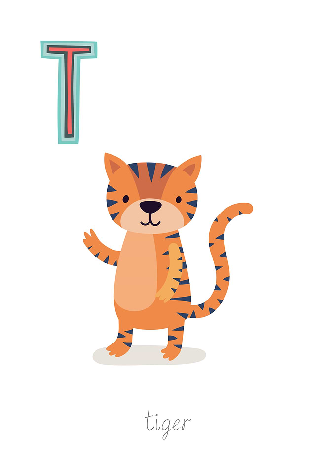 Animal Alphabet T Tiger