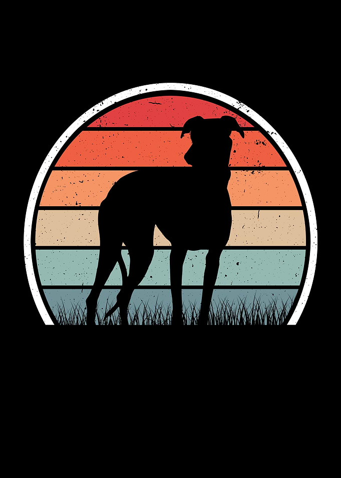 Whippet Retro Greyhound