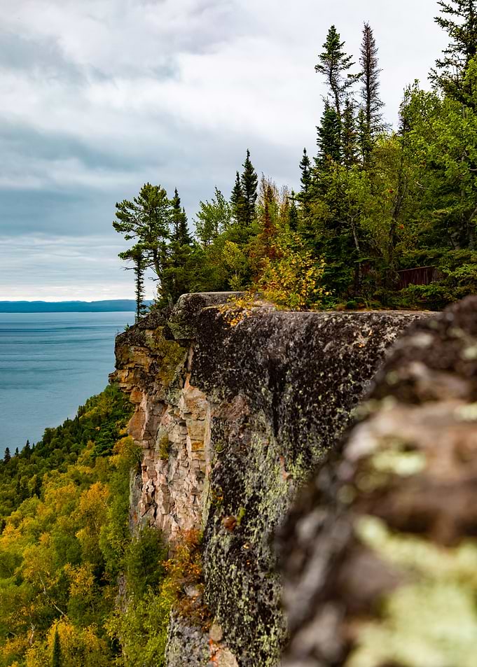 Autumn in August