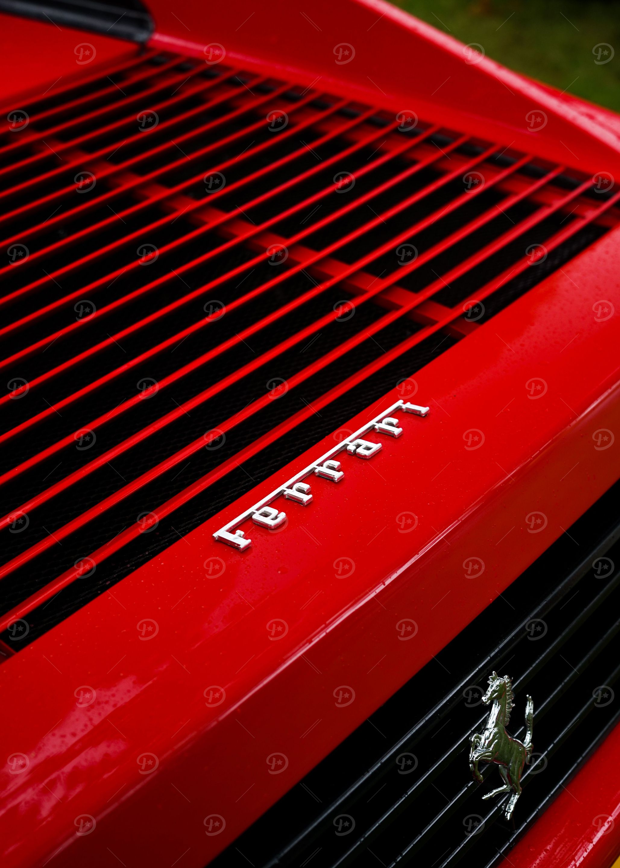 Prancing Testarossa