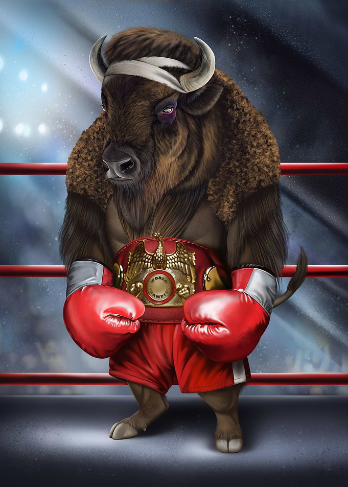 Bison Bull Boxer Fighter