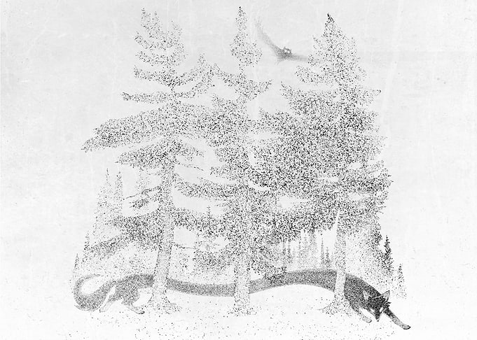 Fox and Owl