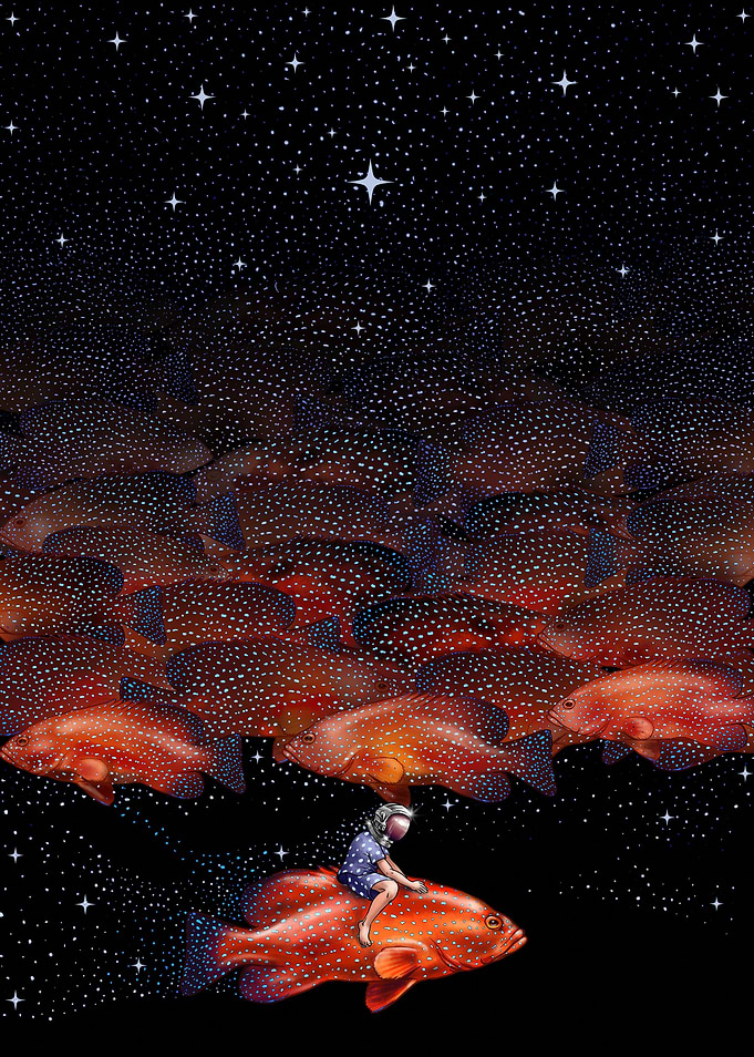 star fields in my dream