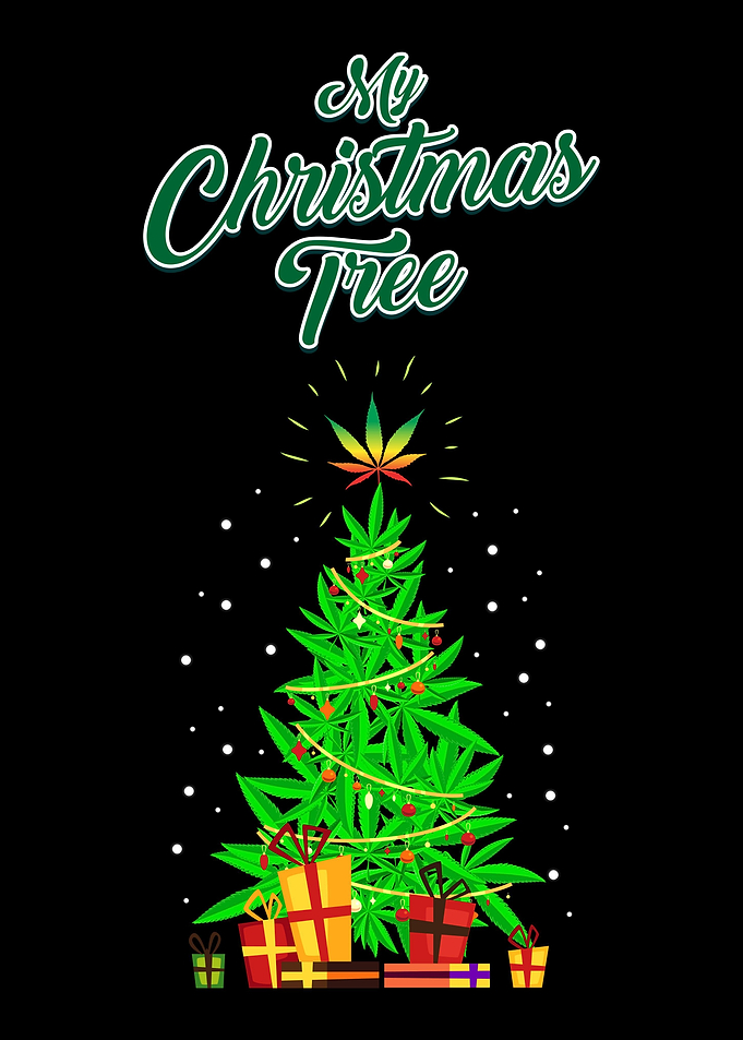 My Christmas Tree Spruce